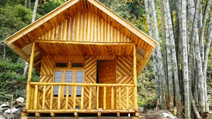 Golden Pine Homestay