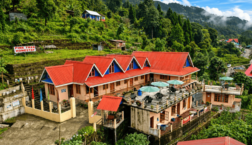 Pine Tree Homestay